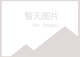 白城洮北初夏会计有限公司